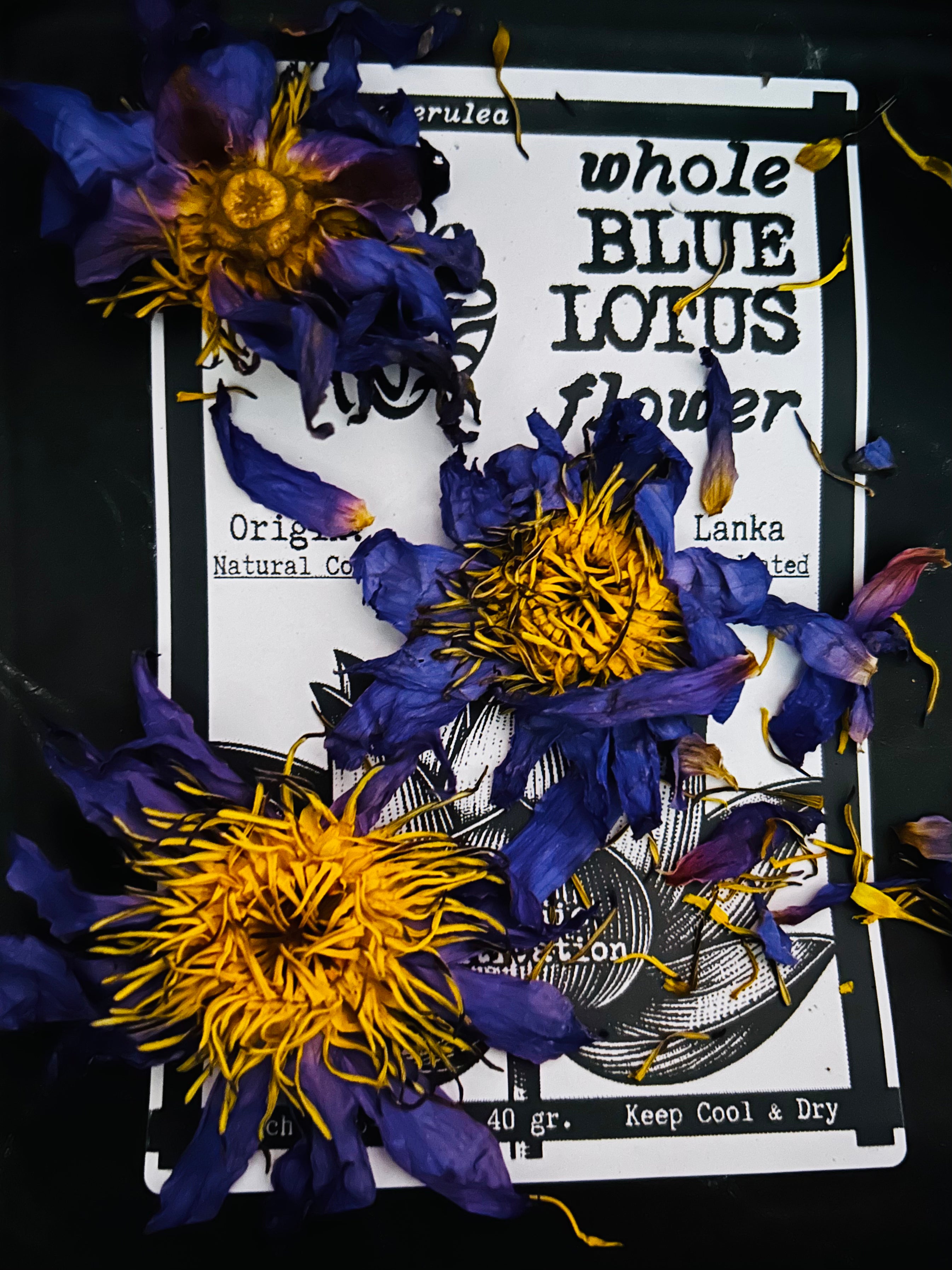 Whole Blue Lotus Flowers