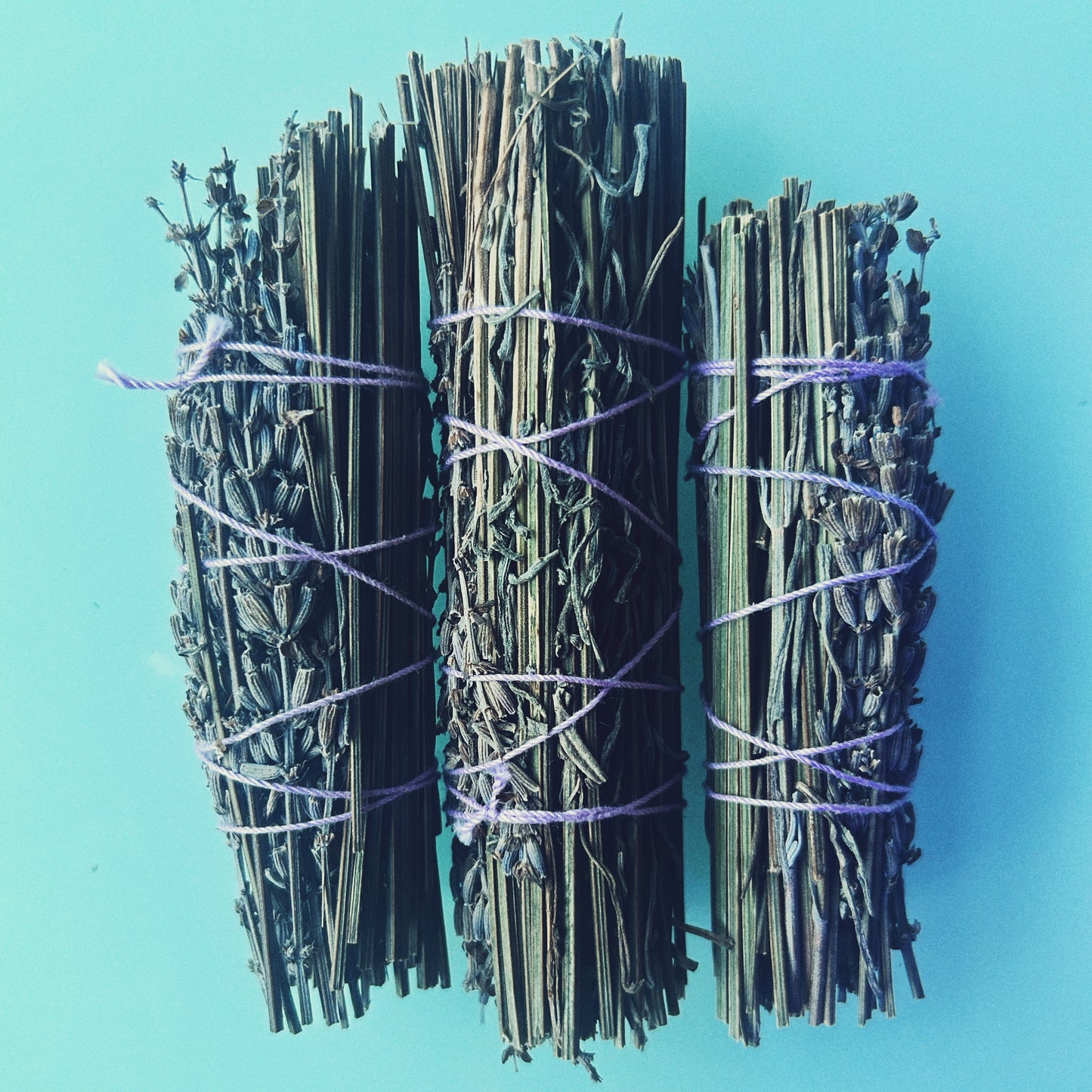 Lavender Stem Bundle