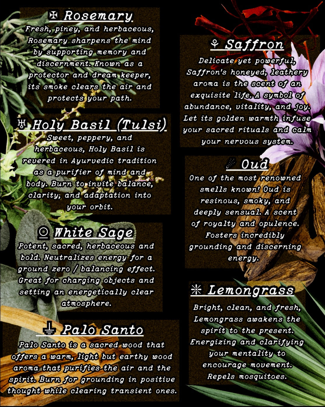 ANCIENT MOTHERS Natural Incense