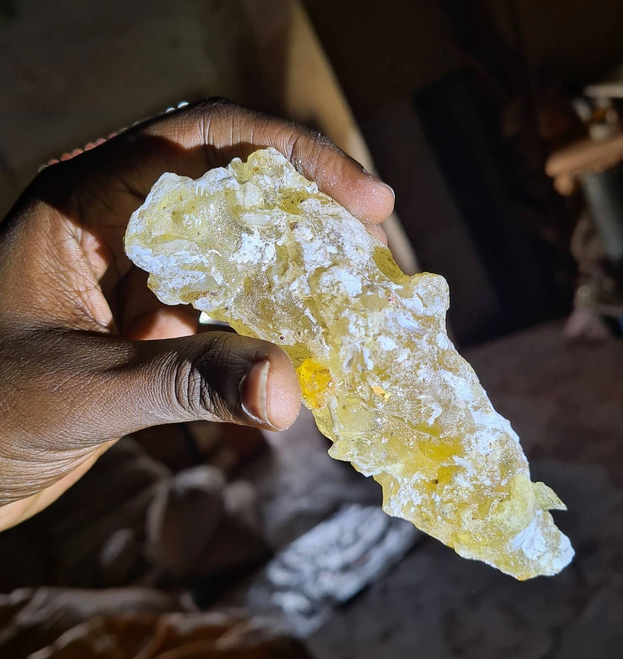 Frankincense #1 - Meditative Essence