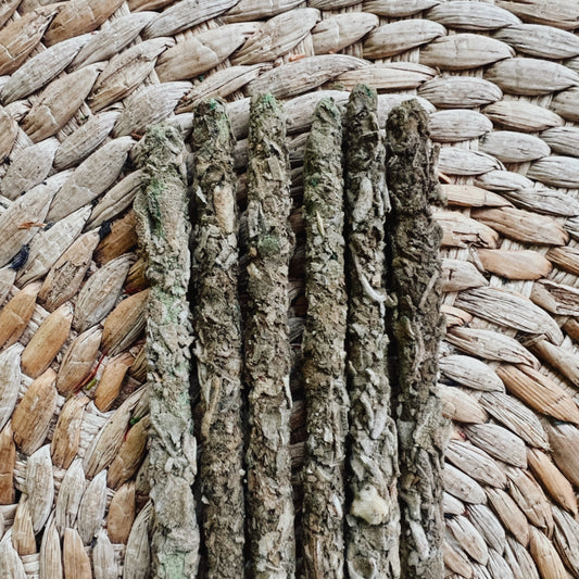 White Sage | 8 Sacred Natural Incense Sticks |