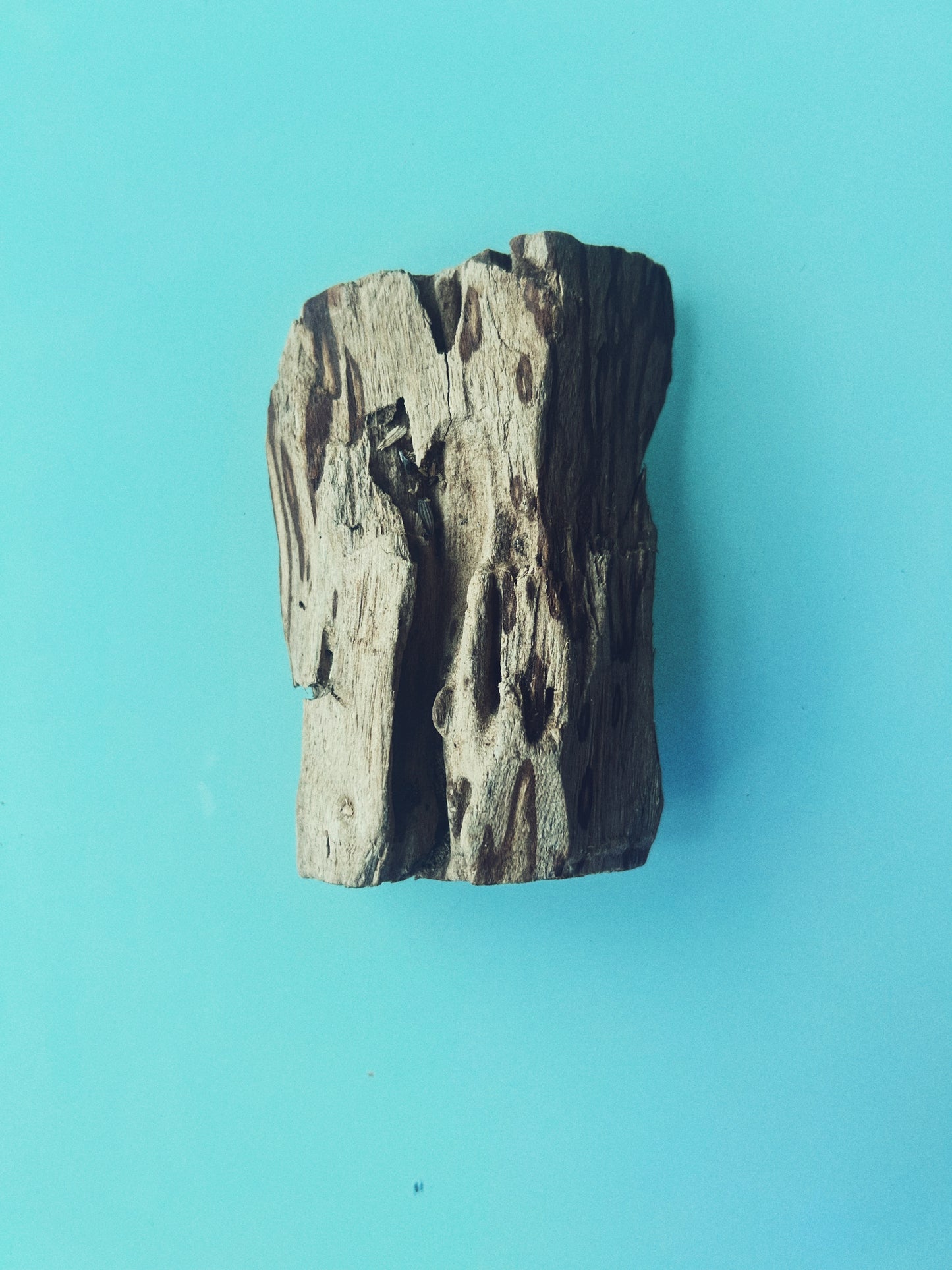 Peruvian Palo Santo