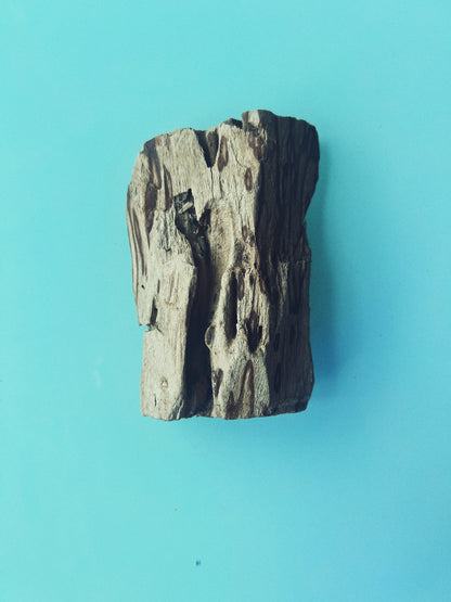 Peruvian Palo Santo