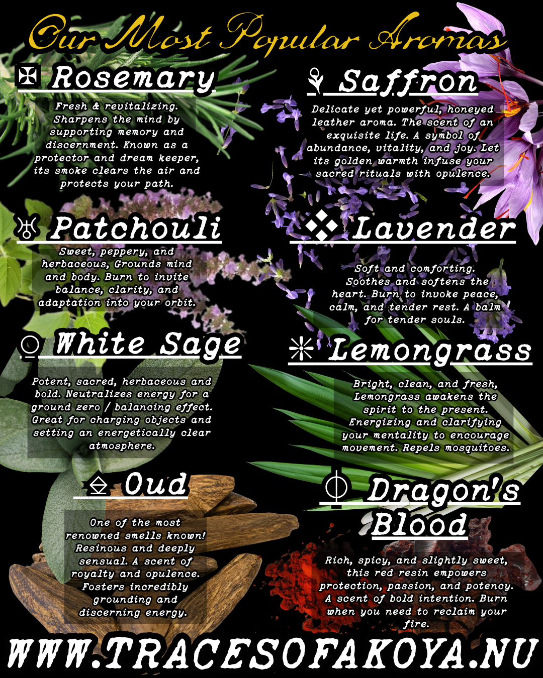 COLLECT: Authentic Sacred Natural Incense Sticks