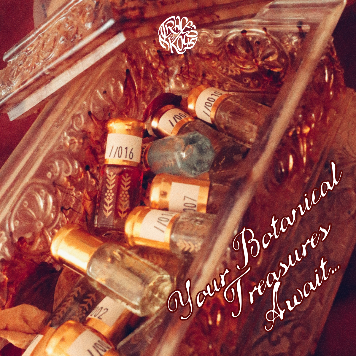 COLLECT: Attars - Ancient Fragrance
