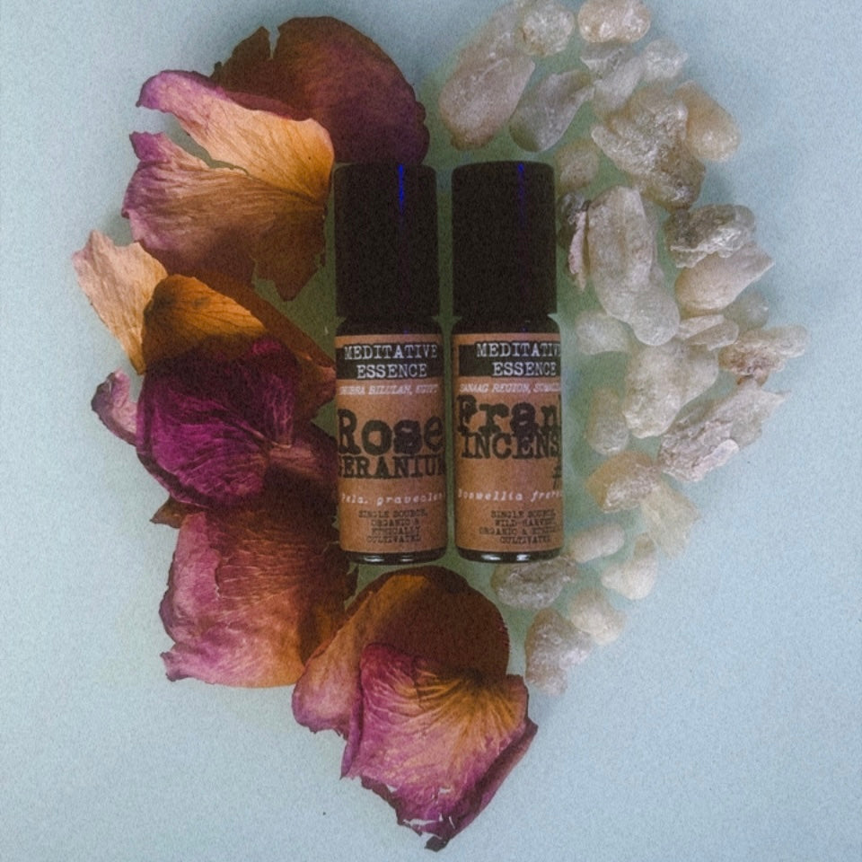 COLLECT: Regal Beauty