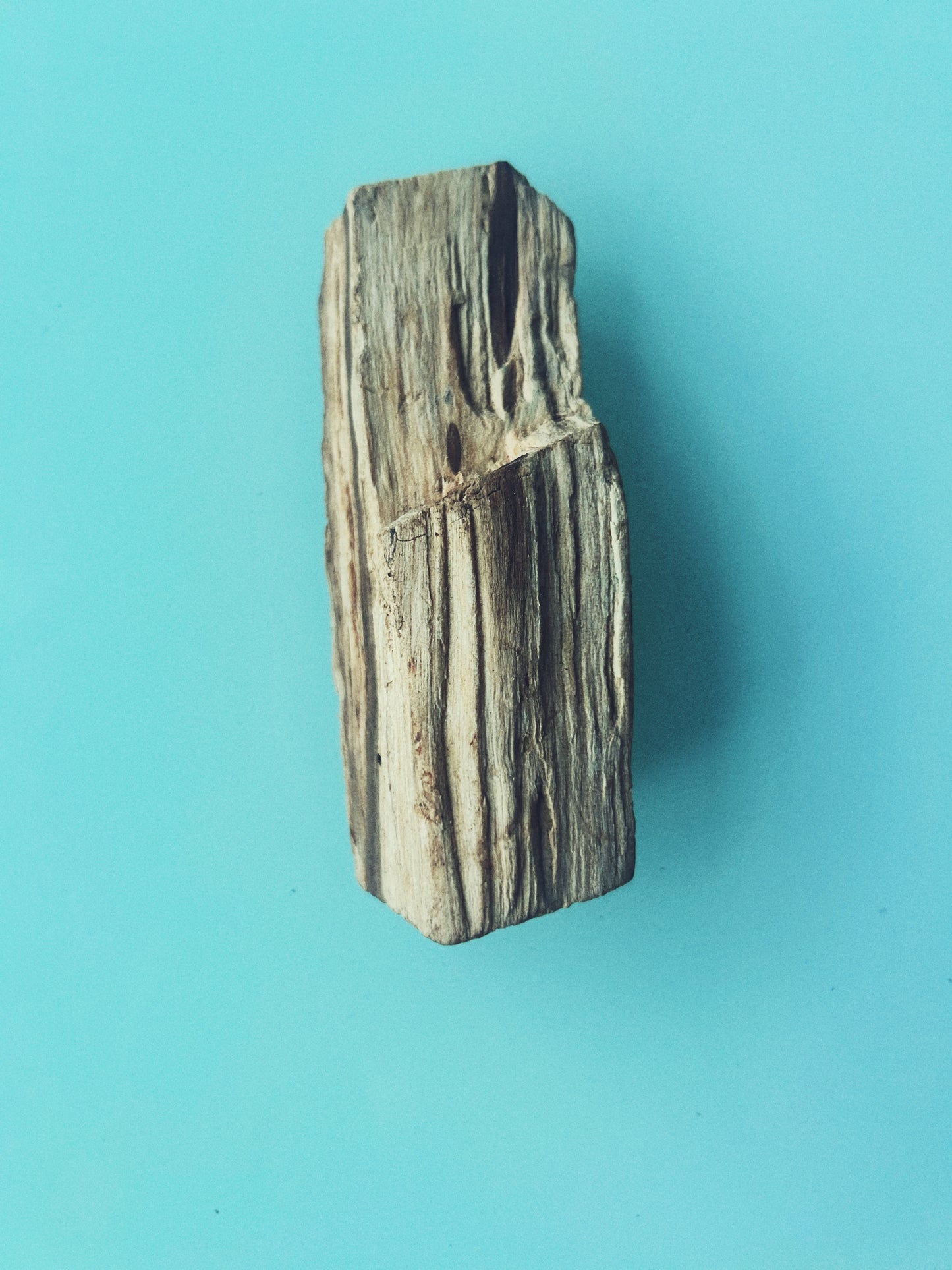 Peruvian Palo Santo