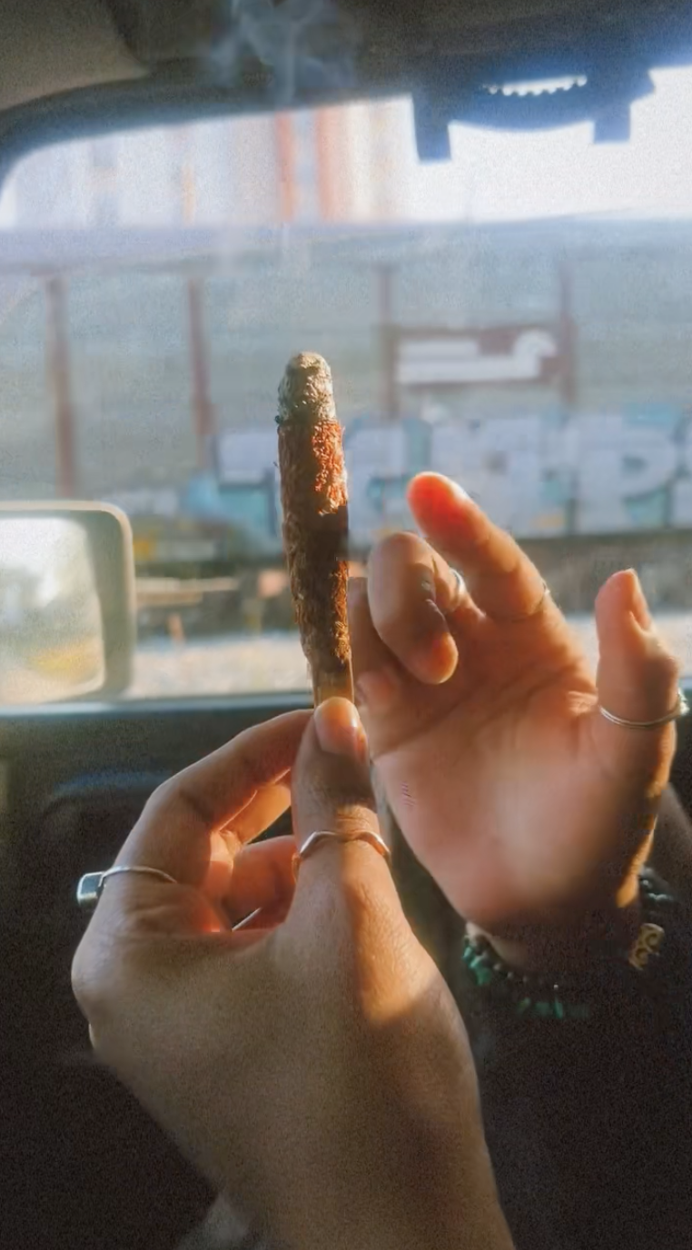 Dipped Palo Santo Stick